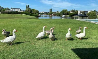 Casa en venta - 4 Dormitorios 2 Baños - Cochera - 1.800Mts2 - Ingeniero Maschwitz, Escobar