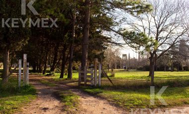 Quinta en VENTA, Villa Elisa