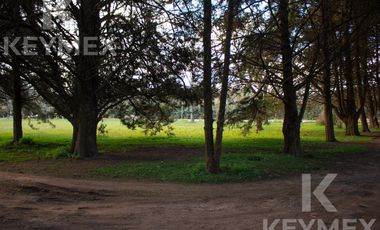 Quinta en VENTA, Villa Elisa