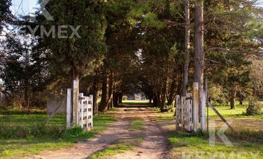 Quinta en VENTA, Villa Elisa