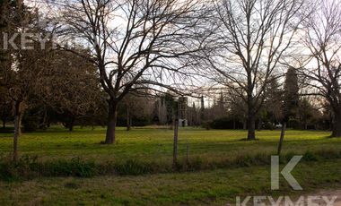 Quinta en VENTA, Villa Elisa