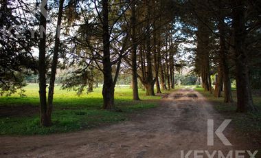 Quinta en VENTA, Villa Elisa