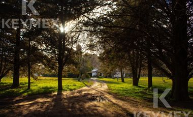 Quinta en VENTA, Villa Elisa