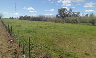 2 de Abril y Leopoldo Acuña, Norberto de la Riestra ¡Predio/Quinta Urbana de 3,75 hectareas!