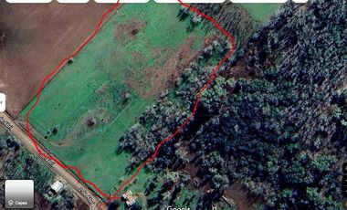 2 de Abril y Leopoldo Acuña, Norberto de la Riestra ¡Predio/Quinta Urbana de 3,75 hectareas!