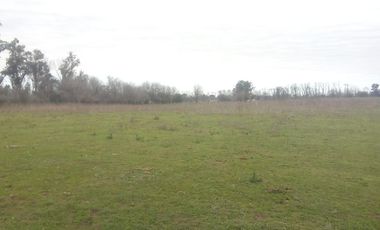 2 de Abril y Leopoldo Acuña, Norberto de la Riestra ¡Predio/Quinta Urbana de 3,75 hectareas!