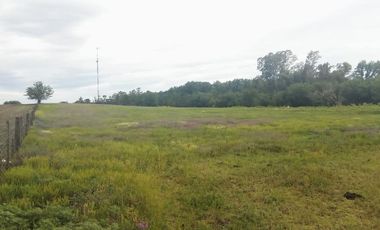 2 de Abril y Leopoldo Acuña, Norberto de la Riestra ¡Predio/Quinta Urbana de 3,75 hectareas!