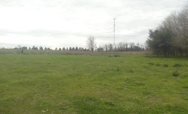 2 de Abril y Leopoldo Acuña, Norberto de la Riestra ¡Predio/Quinta Urbana de 3,75 hectareas!