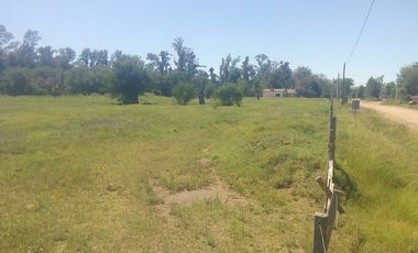 2 de Abril y Leopoldo Acuña, Norberto de la Riestra ¡Predio/Quinta Urbana de 3,75 hectareas!