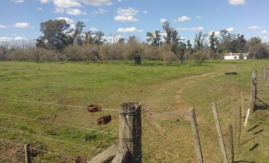 2 de Abril y Leopoldo Acuña, Norberto de la Riestra ¡Predio/Quinta Urbana de 3,75 hectareas!
