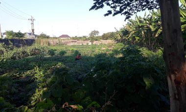 Murah Raya Sambikerep dekat Citraland