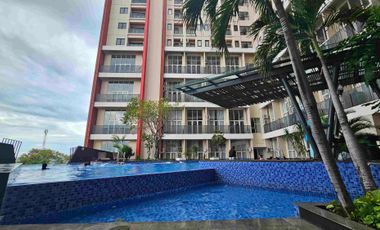 Amega Crown Studio full furnish