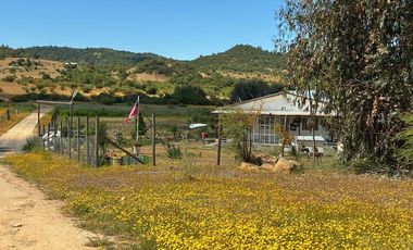 Se Vende Parcela en Santa Cruz, VI Región