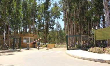 Departamento en Venta en Condominio Costa Algarrobo Norte