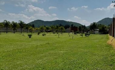 Terreno en Venta con Terraza y Huerta de Aguacates en Tlajomulco de Zuñiga, Jal