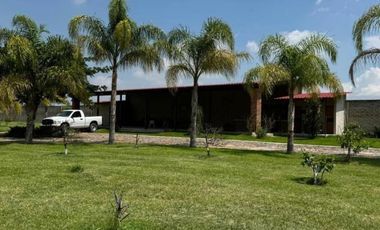 Terreno en Venta con Terraza y Huerta de Aguacates en Tlajomulco de Zuñiga, Jal