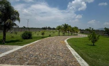 Terreno en Venta con Terraza y Huerta de Aguacates en Tlajomulco de Zuñiga, Jal