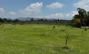 Terreno en Venta con Terraza y Huerta de Aguacates en Tlajomulco de Zuñiga, Jal