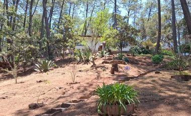 Espectacular Cabaña en Mazamitla en Fracc. Los Cazos