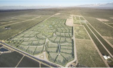 Venta de lote Agrelo Lujan de Cuyo