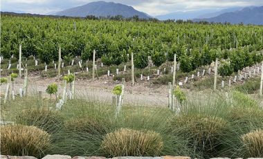 Venta de lote Agrelo Lujan de Cuyo