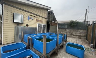 Precio Rebajado, Casa Comercial 265/139 M2 Trifasico