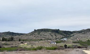 Se Vende Parcela, 5000 M2, Hermosa Vista, Litueche Centro