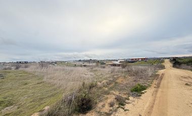 Se Vende Parcela, 5000 M2, Hermosa Vista, Litueche Centro
