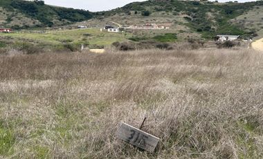 Se Vende Parcela, 5000 M2, Hermosa Vista, Litueche Centro