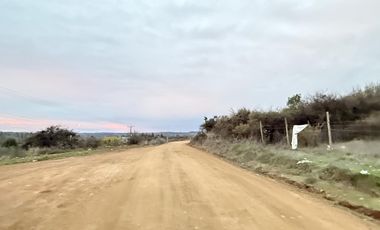 Se Vende Parcela, 5000 M2, Hermosa Vista, Litueche Centro