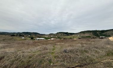 Se Vende Parcela, 5000 M2, Hermoso Paisaje Natural, Litueche