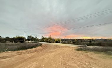 Se Vende Parcela, 5000 M2, Hermoso Paisaje Natural, Litueche