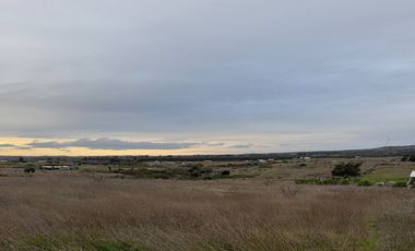 Se Vende Parcela, 5000 M2, Hermoso Paisaje Natural, Litueche