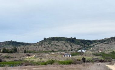 Se Vende Parcela, 5000 M2, Hermoso Paisaje Natural, Litueche