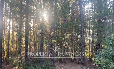 Puertecillo, Terreno en Condominio en Tumán