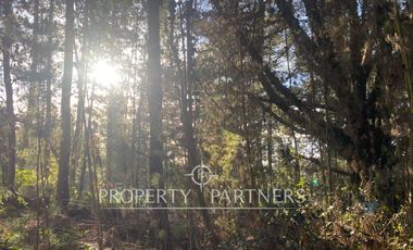 Puertecillo, Terreno en Condominio en Tumán