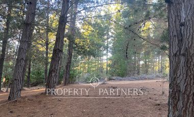 Puertecillo, Terreno en Condominio en Tumán