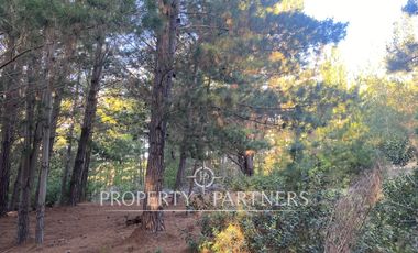 Puertecillo, Terreno en Condominio en Tumán