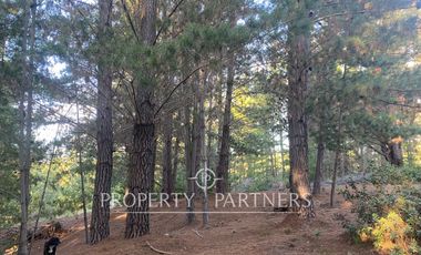 Puertecillo, Terreno en Condominio en Tumán