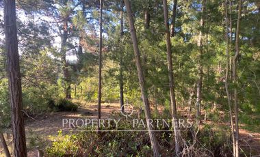 Puertecillo, Terreno en Condominio en Tumán