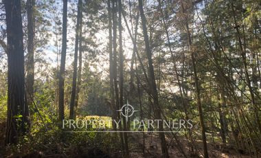 Puertecillo, Terreno en Condominio en Tumán