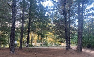 Puertecillo, Terreno en Condominio en Tumán