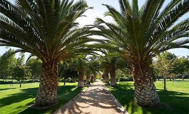 VENDO SEPULTURA EN PARQUE DEL RECUERDO PADRE HURTADO