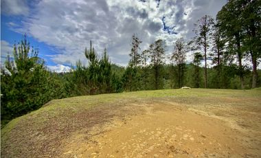 Venta Lote Vista y Paisajismo Parcelacion El Retiro