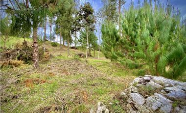 Venta Lote Vista y Paisajismo Parcelacion El Retiro