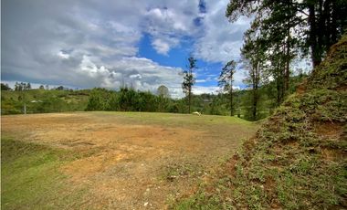 Venta Lote Vista y Paisajismo Parcelacion El Retiro