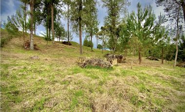 Venta Lote Vista y Paisajismo Parcelacion El Retiro