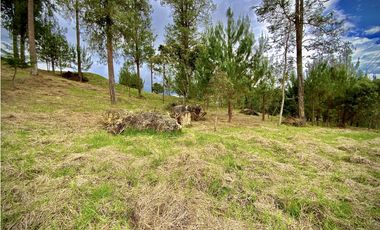 Venta Lote Vista y Paisajismo Parcelacion El Retiro