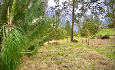 Venta Lote Vista y Paisajismo Parcelacion El Retiro