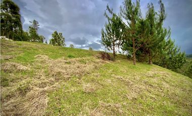 Venta Lote Vista y Paisajismo Parcelacion El Retiro